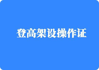 狠狠插大黑逼登高架设操作证